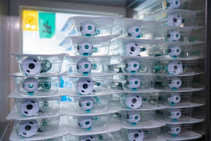 Hasson Disposable Laparoscopic Trocar Blunt Obturator Steel Tube Dengan Fiksasi Jahitan 9