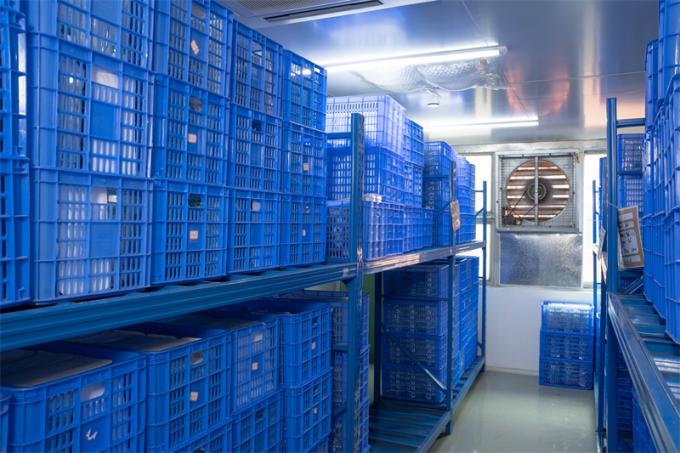 Penggunaan Bedah Perut 12mm OEM Hasson Trocar Disposable Laparoscopic Trocar 7